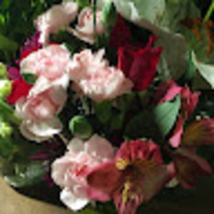 Meet your Posher, Blue